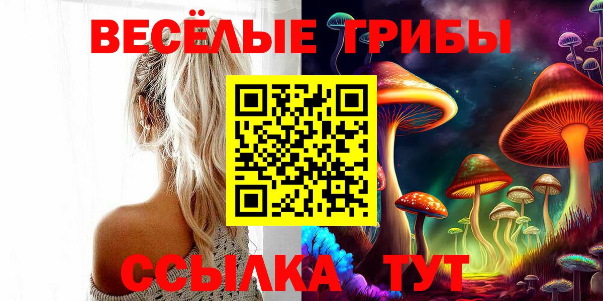 Ессентуки  Псилоцибиновые грибы Magic Shrooms  Вход с VPN 